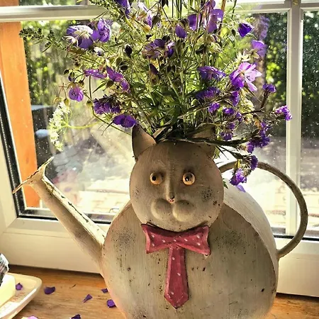 Apartman Srub Pod Tetrevim Vrchem Dolni Dvur