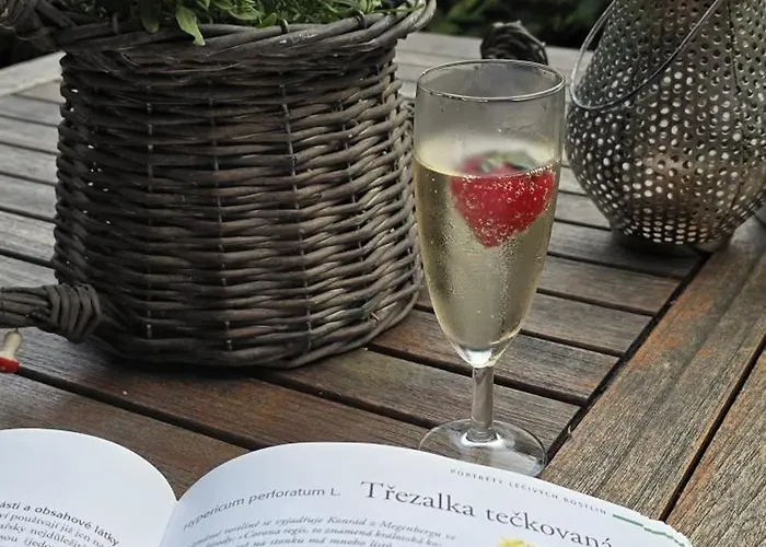 Lägenhet Srub Pod Tetrevim Vrchem *